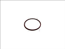 O-kroužek klikového hřídele zadní 4863833 Jeep Grand Cherokee,Cherokee